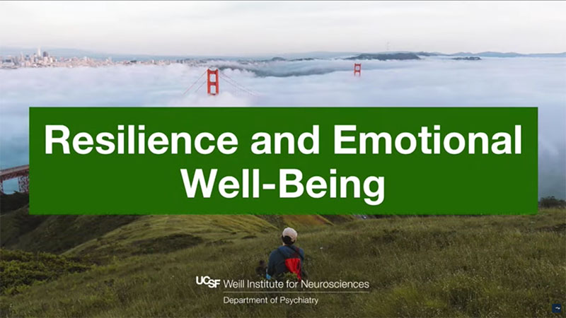 Resilience and Emotional Well-being